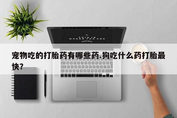 打胎药在线购买联系微信宠物吃的打胎药有哪些药.狗吃什么药打胎最快？
